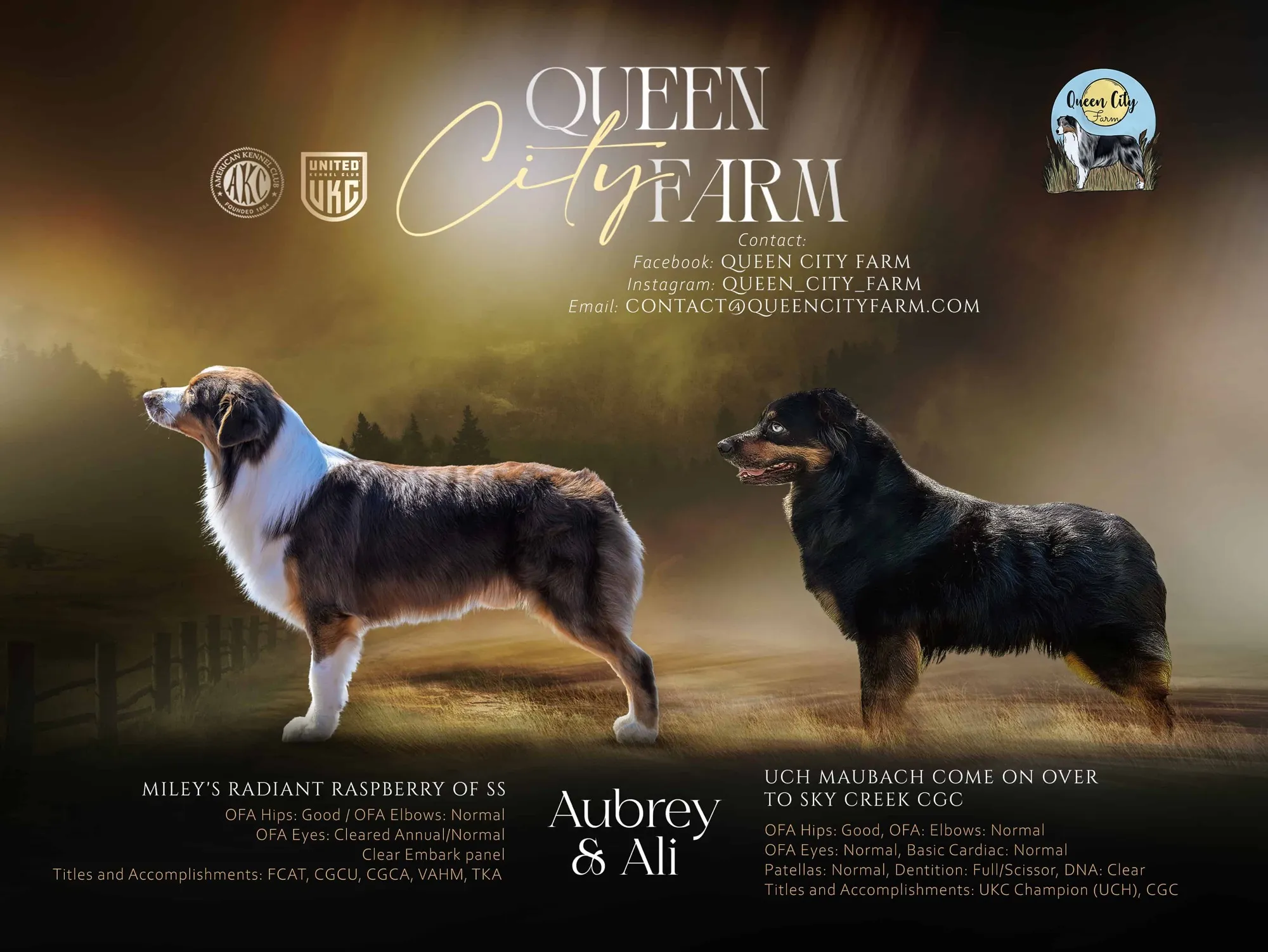 Queen City Farm 2025 litter announcement graphic for Ali x Aubrey