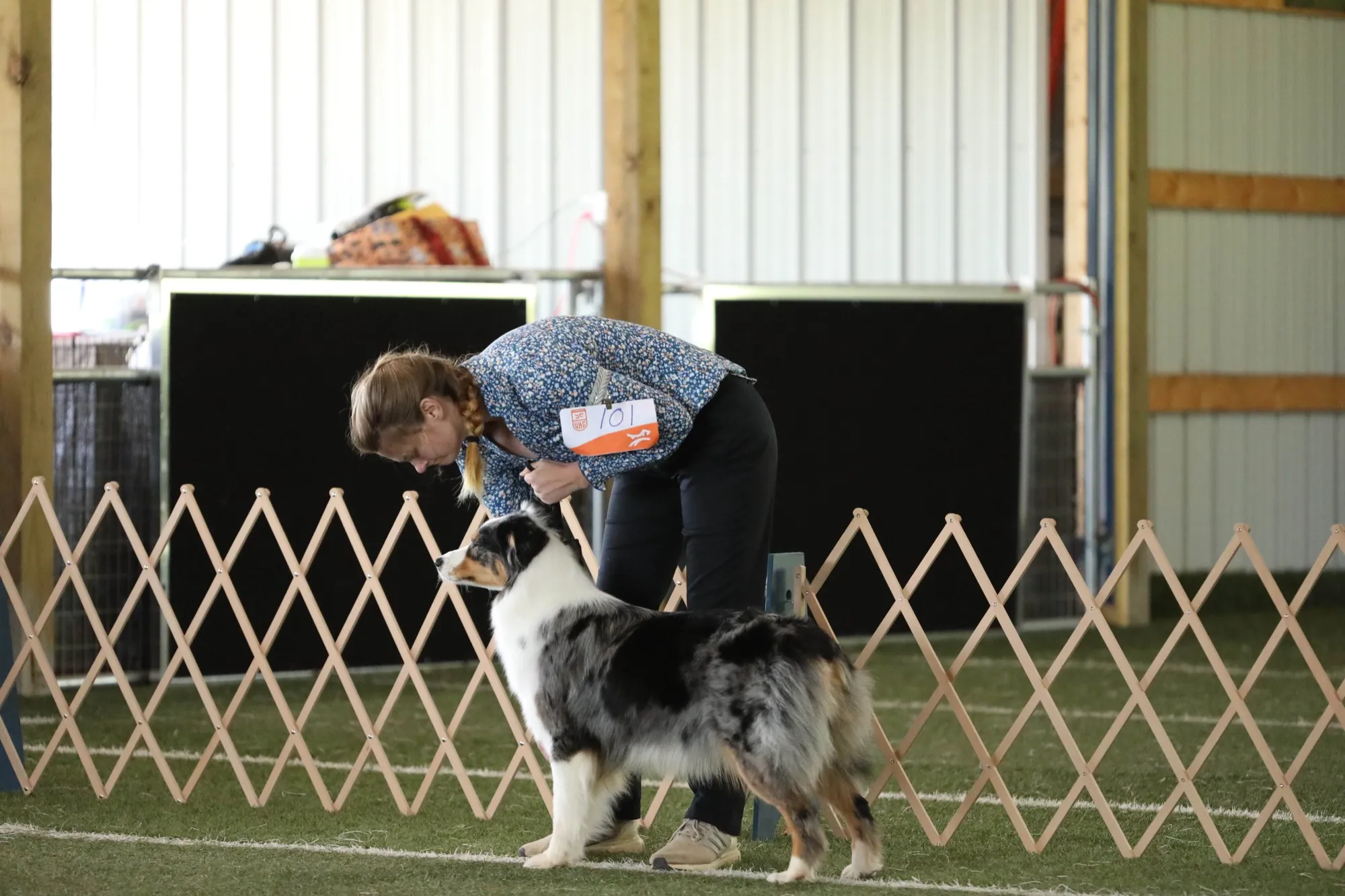 Lyra stacked in the show ring, representing the quality and commitment behind a responsible breeding program