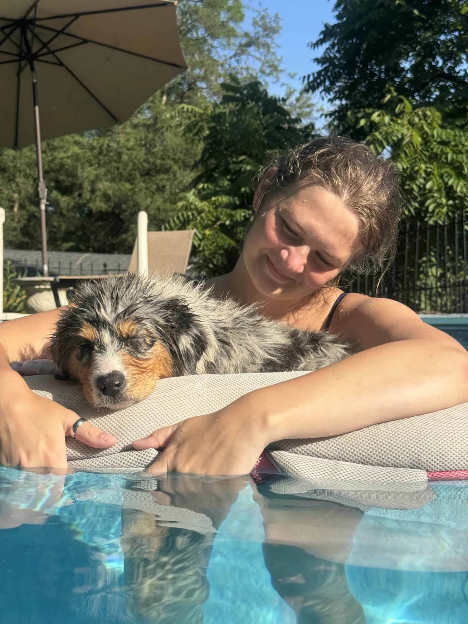 Banjo swimming confidently on his own, showing the independence that comes from focused individual raising