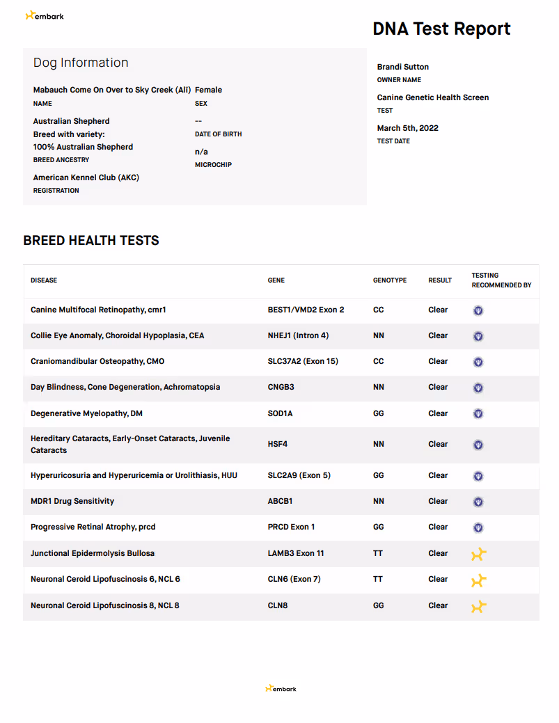 Ali — DNA Report