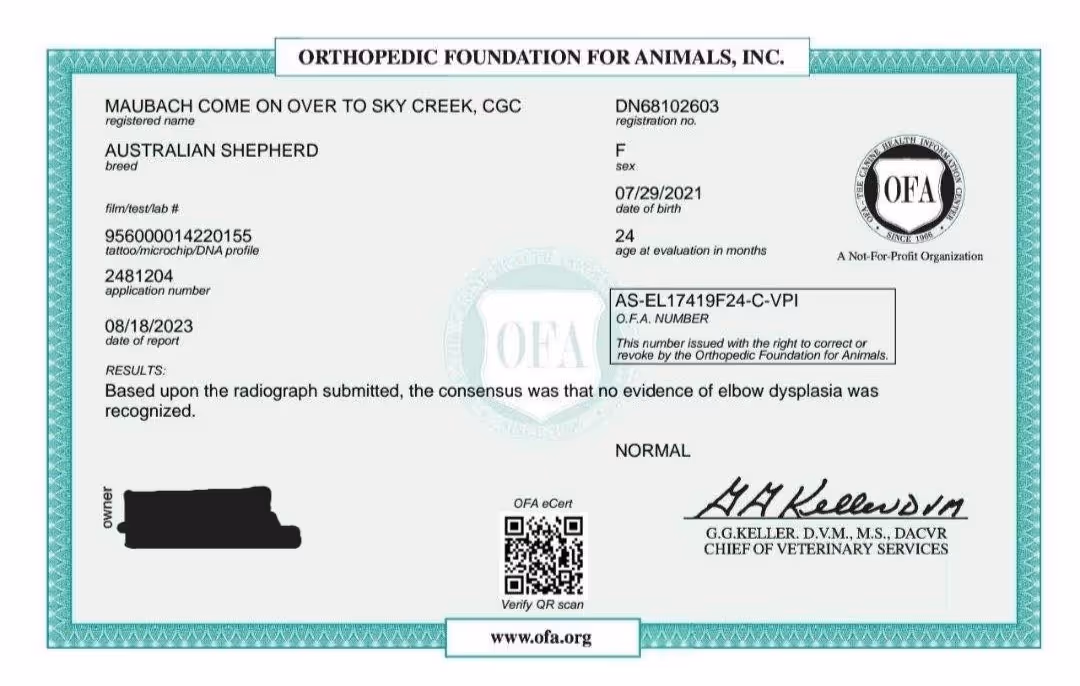 Ali — OFA Elbows