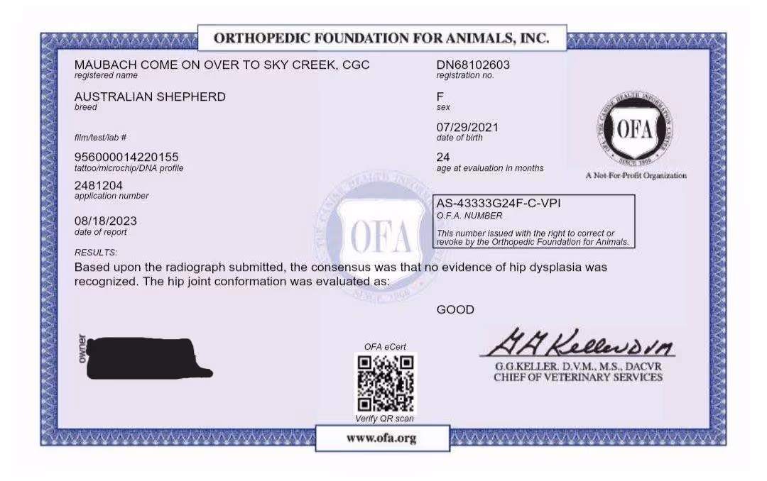 Ali — OFA Hips