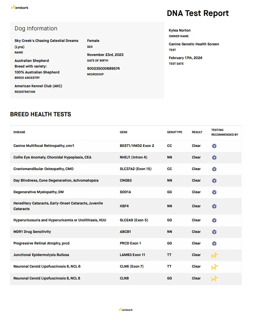 Lyra — DNA Report