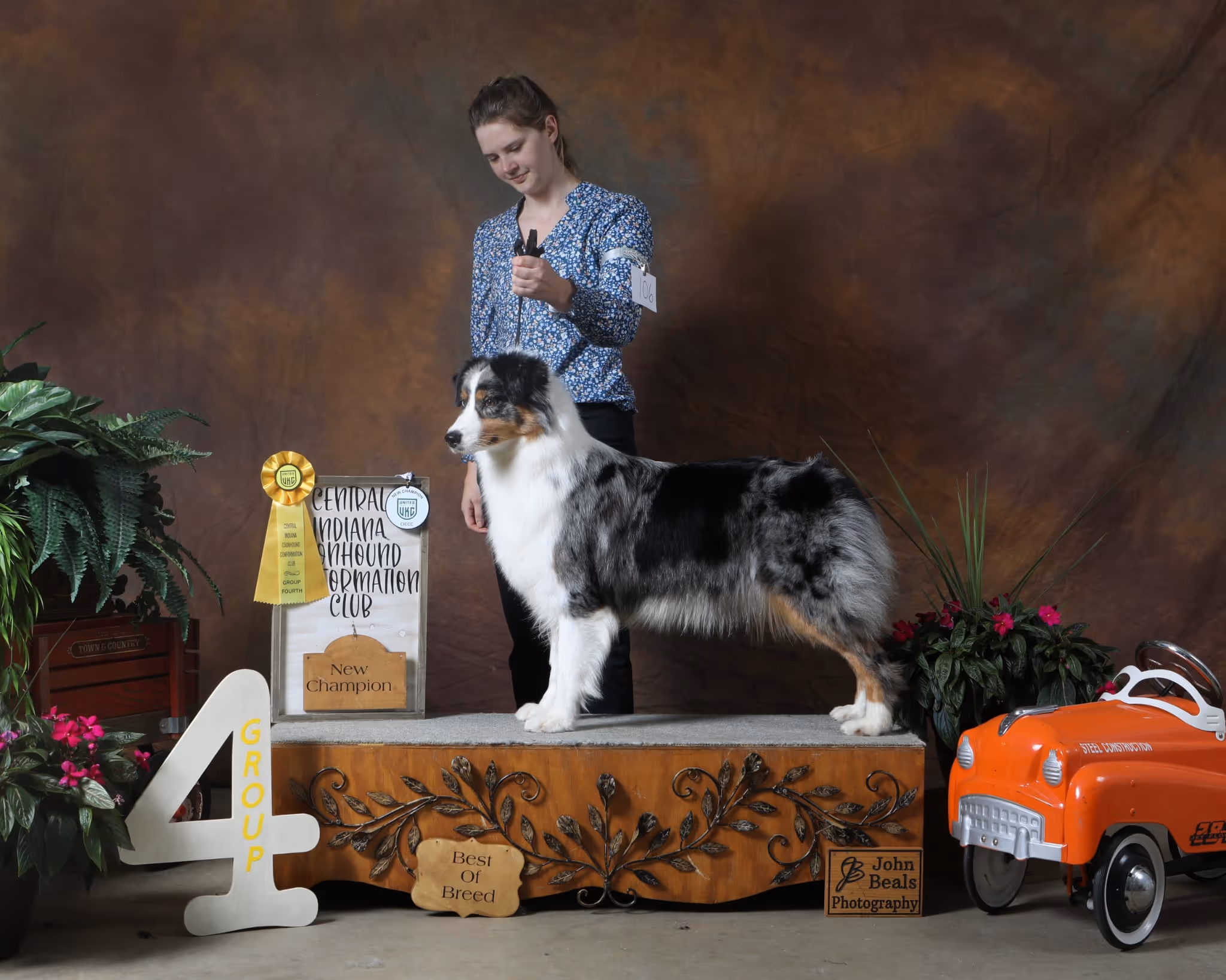 Lyra (Group Placing UCH SkyCreek's Chasing Celestial Dreams CGCU CGCA TKN VHMA VHMP) — dam of Queen City Farm's May Flowers (Aubrey × Lyra) Australian Shepherd litter