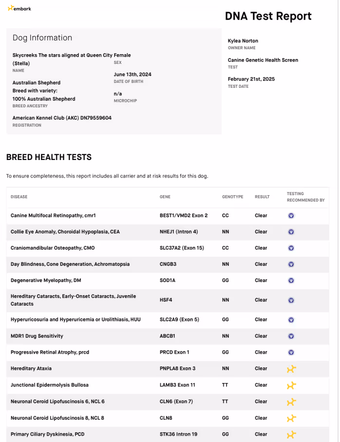 Stella — DNA Report (Page 1)