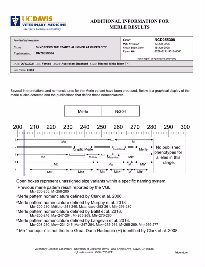 Stella — DNA Report (Page 2)