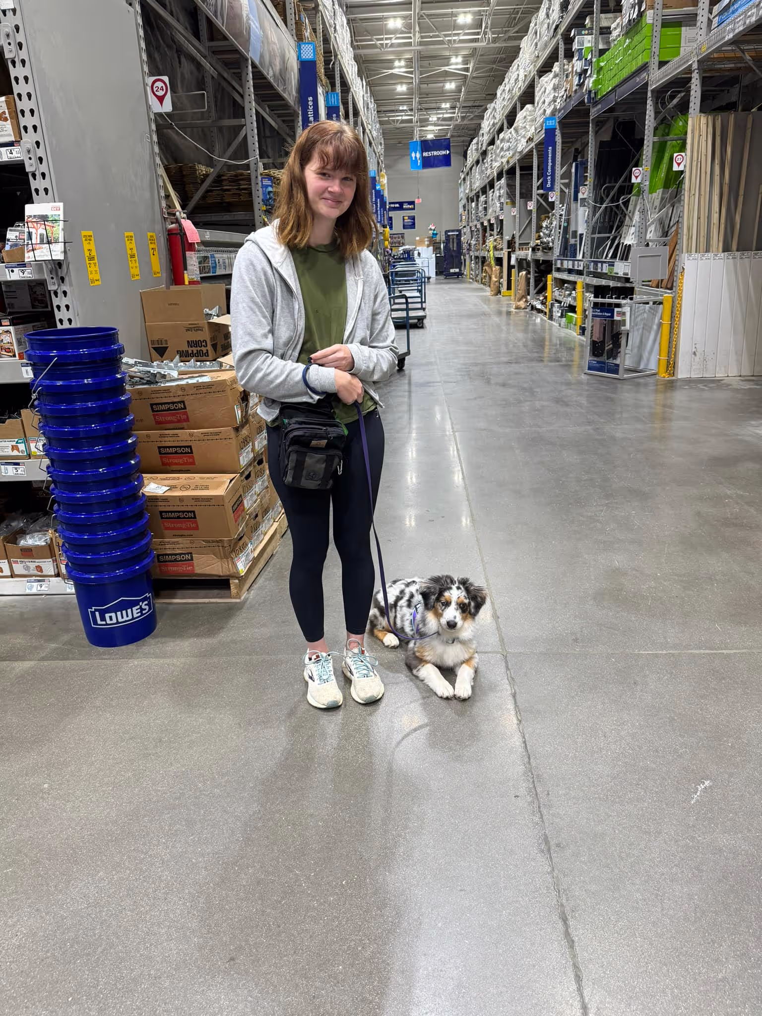Australian Shepherd living as part of the family on the farm