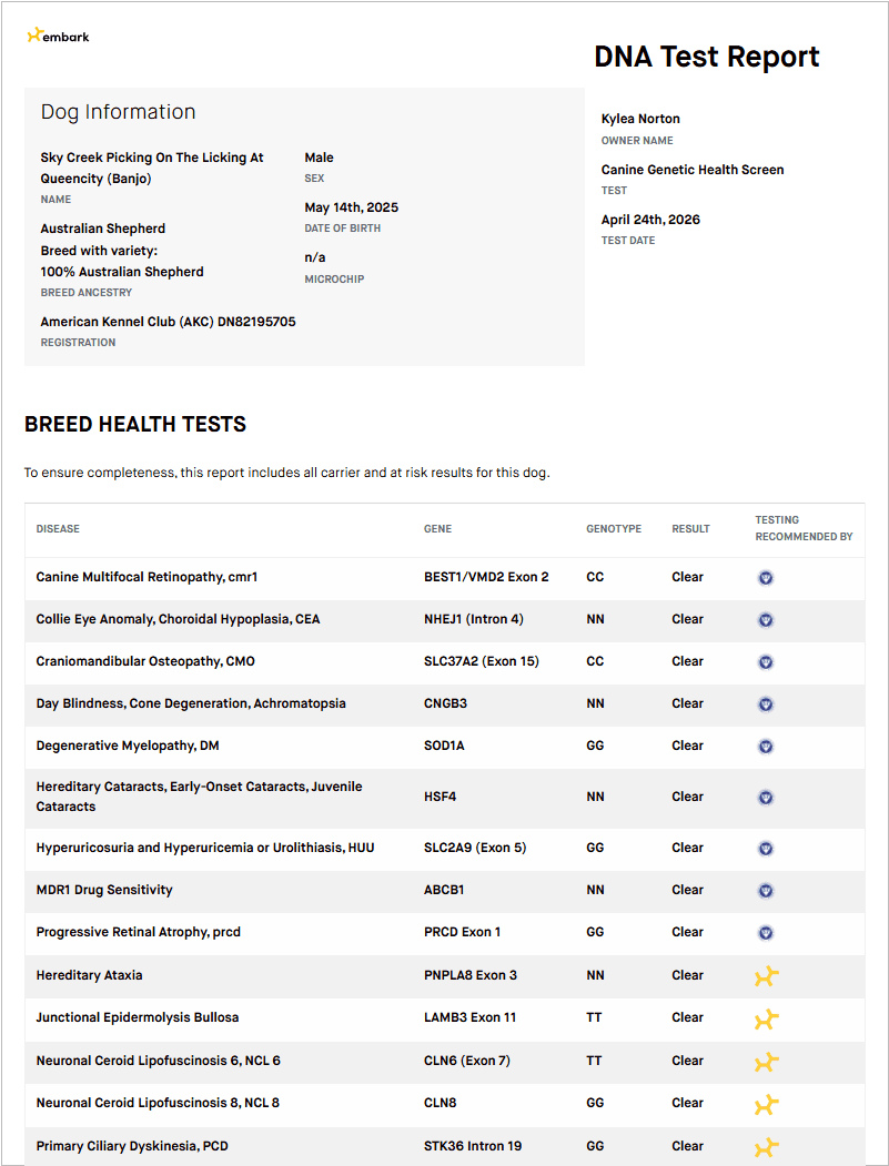 Banjo — DNA testing