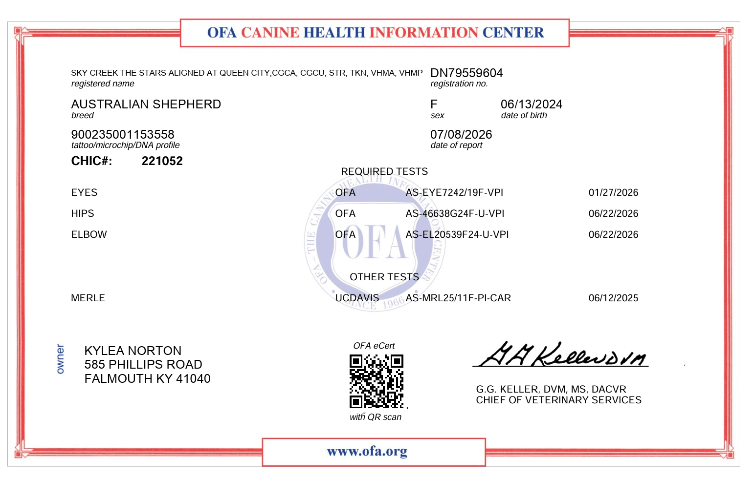 Stella — OFA Health Screening Summary Report - CHIC